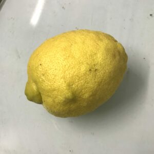 Citron jaune 0 traitement de Lucq (la pièce, env 150g)